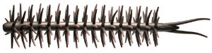 Picture of Hideup Worm Coike Straight Elastomer