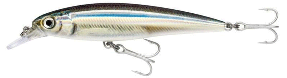 Immagine di Rapala Saltwater X-Rap