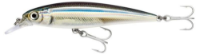 Immagine di Rapala Saltwater X-Rap