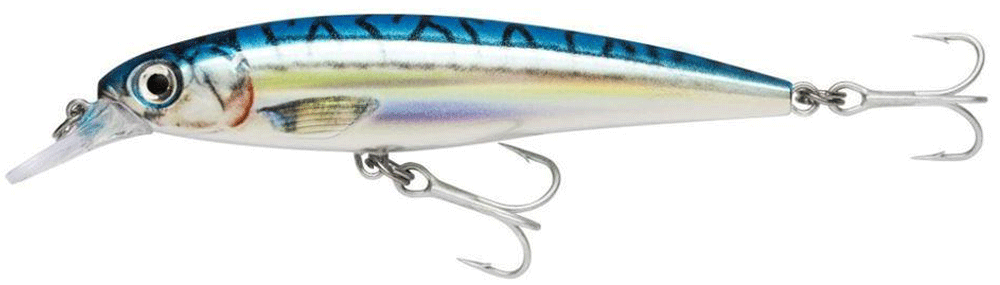 Immagine di Rapala Saltwater X-Rap