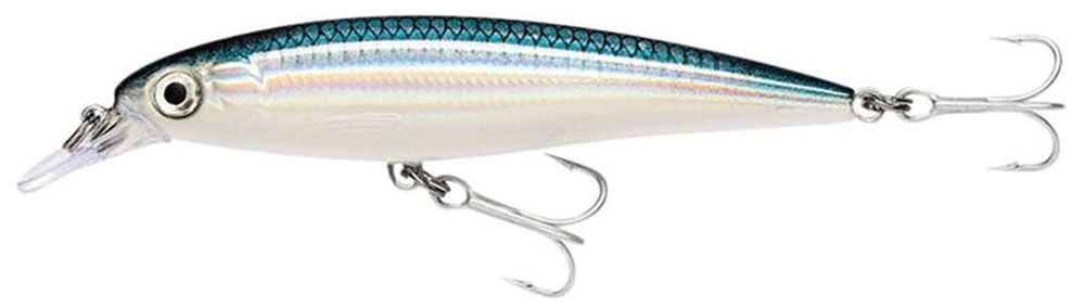 Immagine di Rapala Saltwater X-Rap