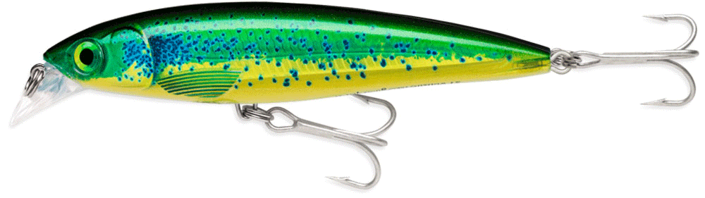 Immagine di Rapala Saltwater X-Rap