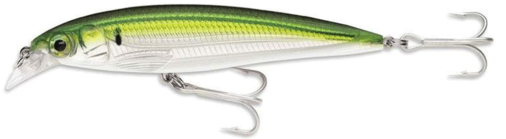 Immagine di Rapala Saltwater X-Rap