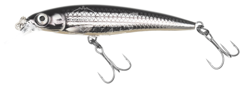 Immagine di Rapala Saltwater X-Rap