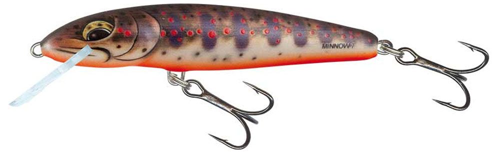 Immagine di Salmo Minnow