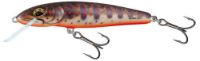 Immagine di Salmo Minnow