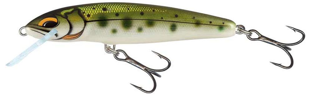 Immagine di Salmo Minnow