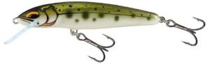 Picture of Salmo Minnow