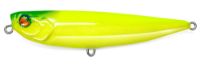 Immagine di Jack Fin Salty Dog 85
