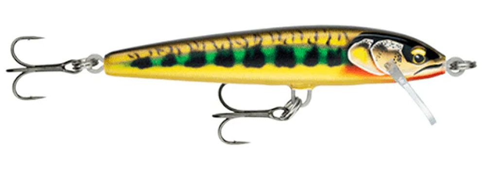 Picture of Rapala Floater Elite 85