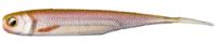 Immagine di Raid Japan Fish Roller