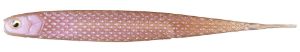 Picture of Raid Japan Super Fish Roller