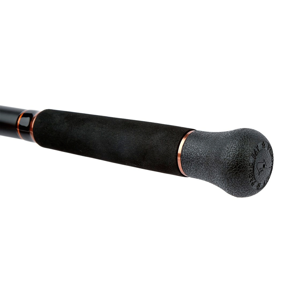 Immagine di Shimano Beastmaster Catfish AX spinning