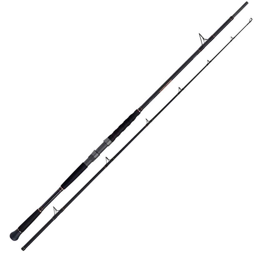 Immagine di Shimano Beastmaster Catfish AX spinning