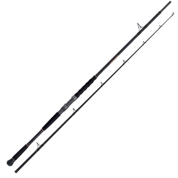 Immagine di Shimano Beastmaster Catfish AX spinning