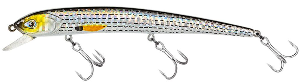 Immagine di Molix Audace Evo 130