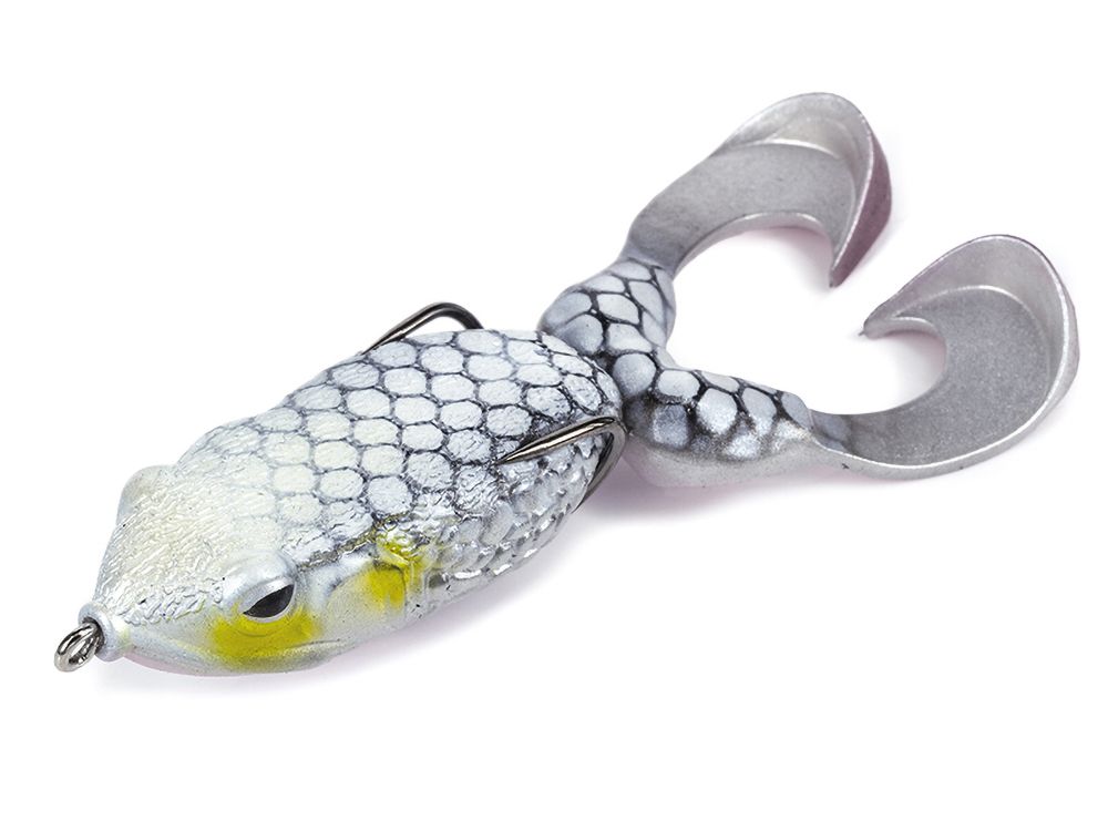 Immagine di Molix Supernato Frog R