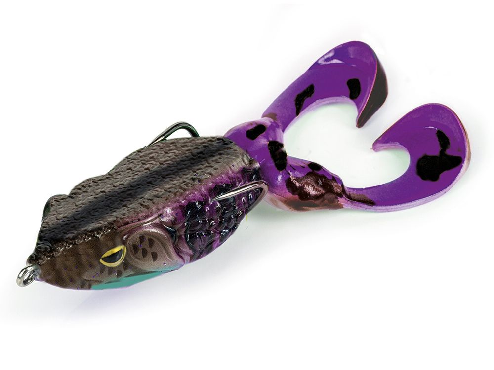 Immagine di Molix Supernato Frog R