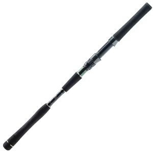 Picture of Molix Fioretto X Spinning