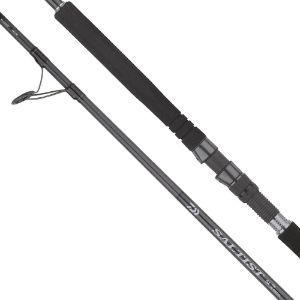 Immagine di Daiwa Saltist SX SJ Jig Special