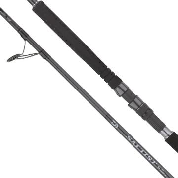 Immagine di Daiwa Saltist SX SJ Jig Special