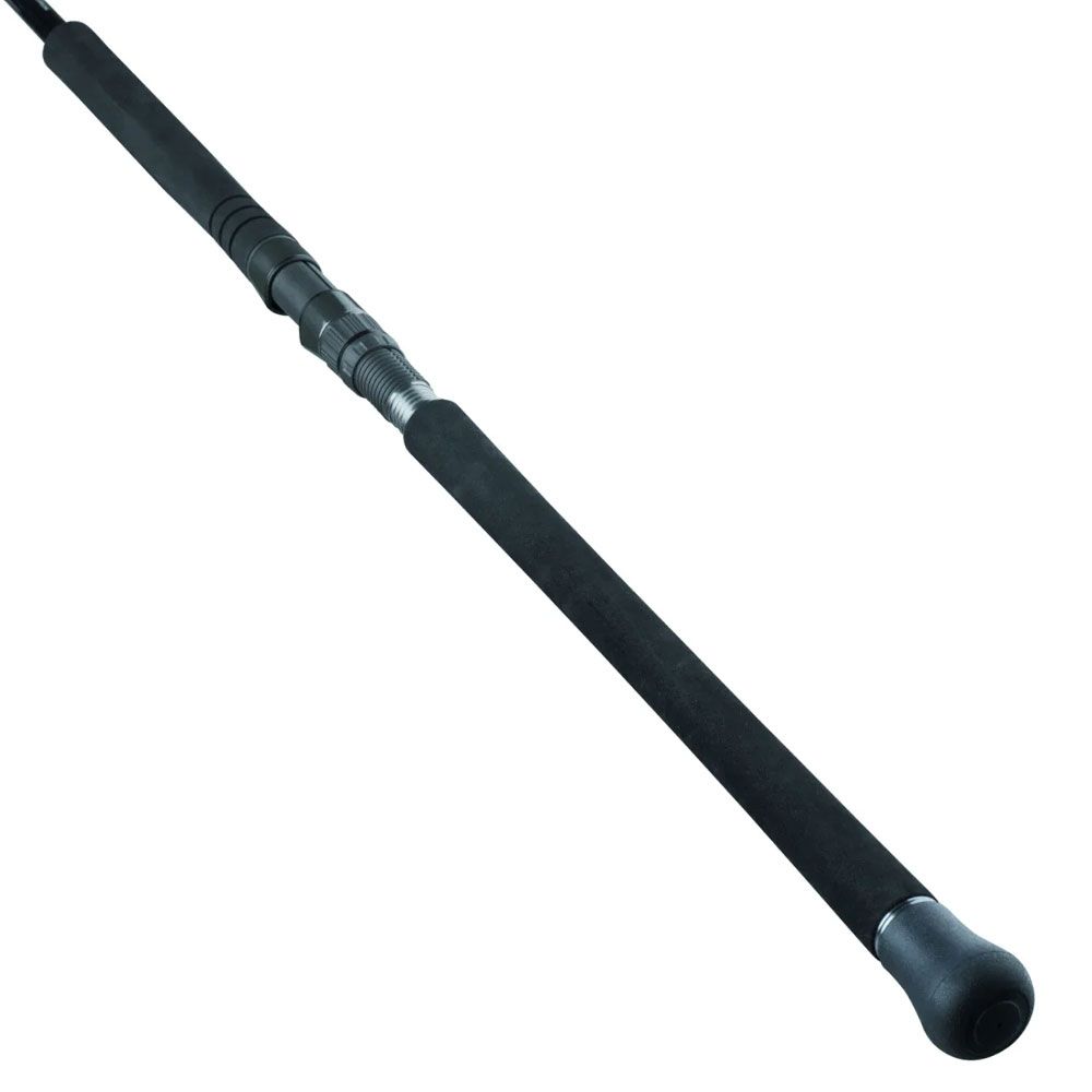 Immagine di Daiwa Saltist SX SJ Jig Special