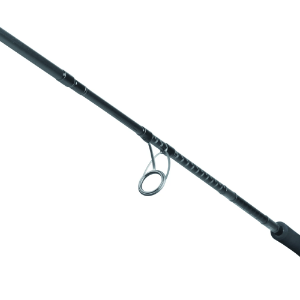 Picture of Daiwa Saltist X SJ spinning