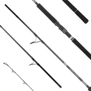 Immagine di Daiwa Saltist X SJ spinning
