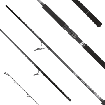 Immagine di Daiwa Saltist X SJ spinning