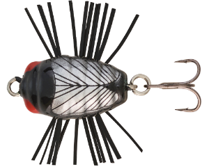 Picture of Sakura Notobug