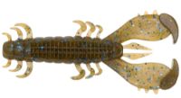 Picture of Deps MS Craw