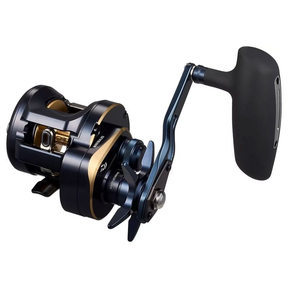 Immagine di Daiwa 25 Saltiga 300