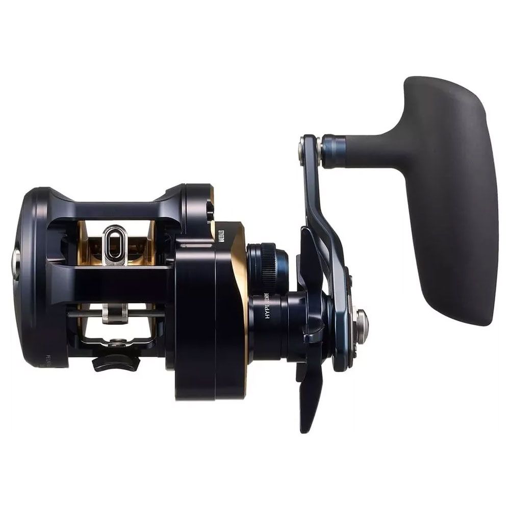 Immagine di Daiwa 25 Saltiga 300