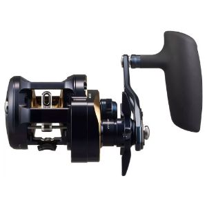 Immagine di Daiwa 25 Saltiga 300