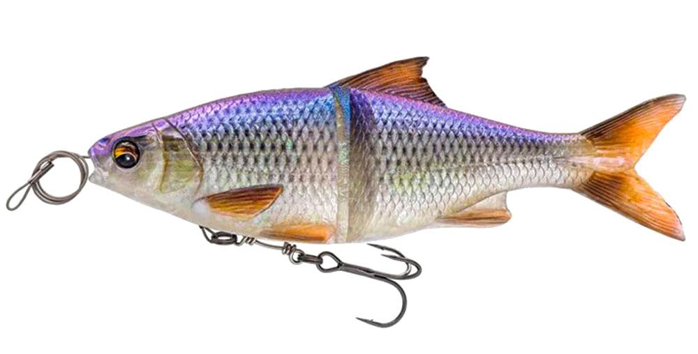 Immagine di Savage Gear 3D Glide Roach