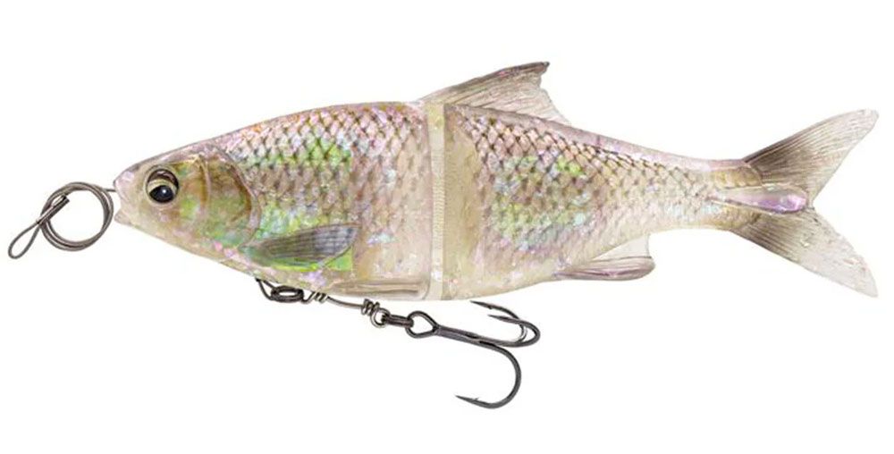 Immagine di Savage Gear 3D Glide Roach