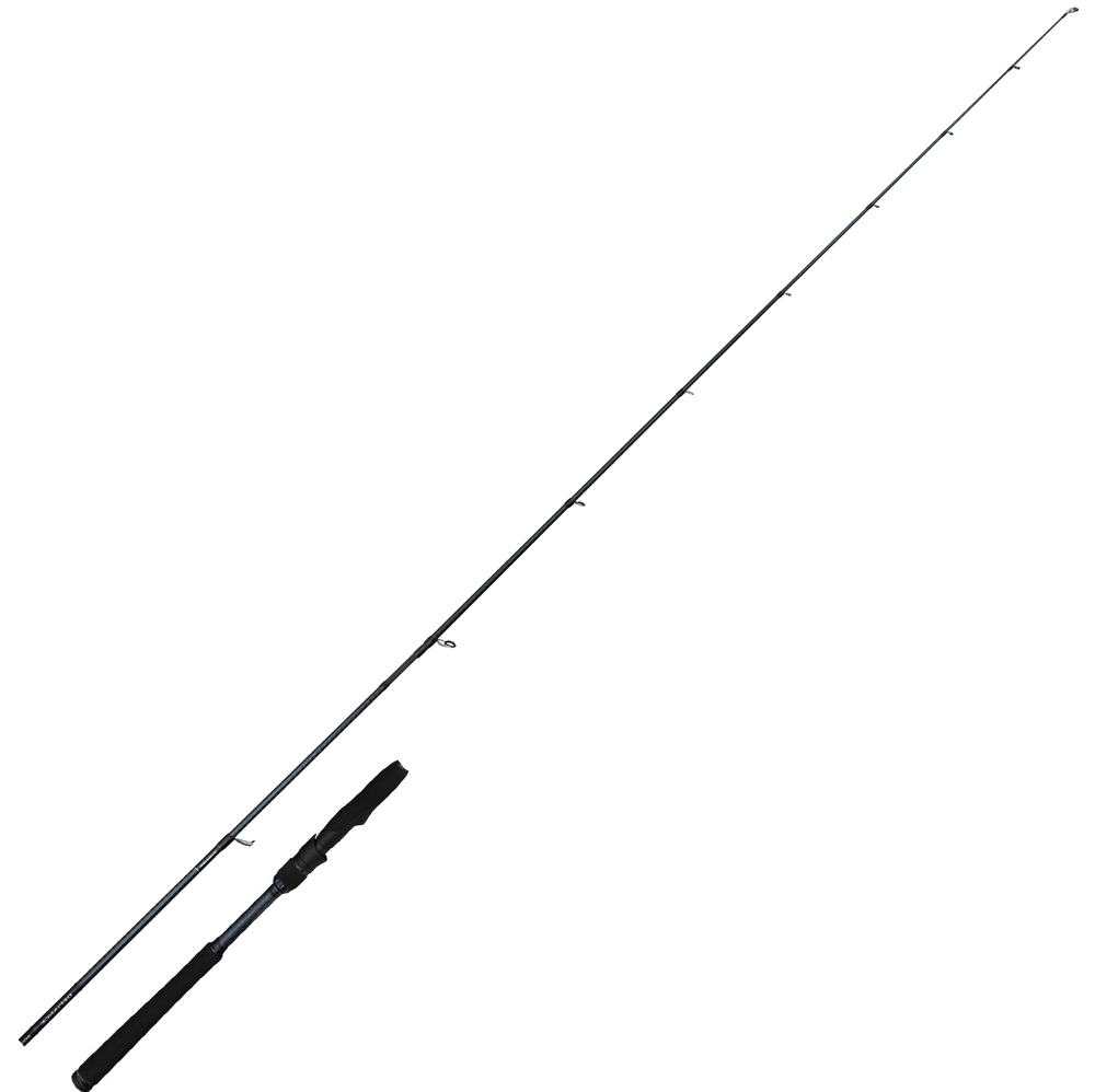 Bild von Savage Gear Defiance SG4 Inshore spinning