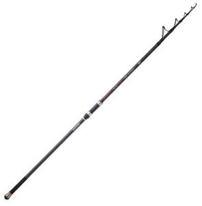 Immagine di Daiwa 23 Emblem Surf Tele Type-R