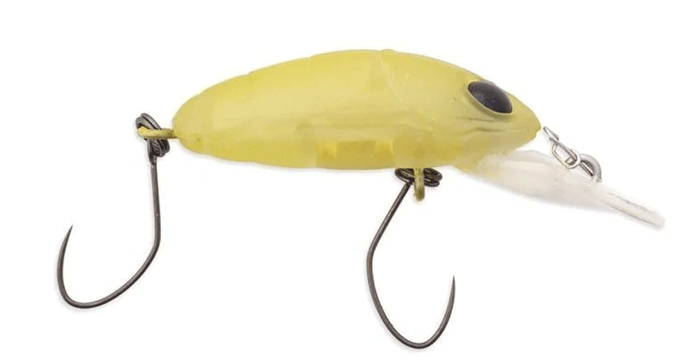 Image de Nories Crankin' Pupa