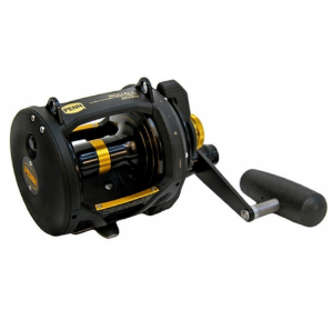 Immagine di Penn Squall 30 VSW 2 Speed