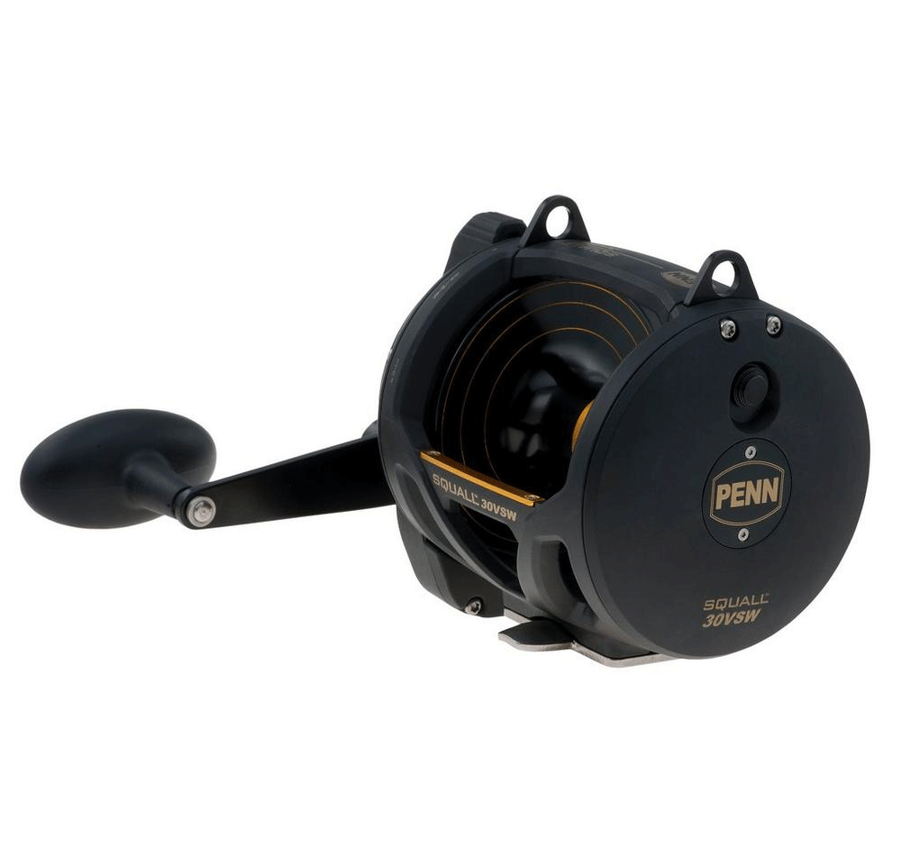 Imagen de Penn Squall 30 VSW 2 Speed