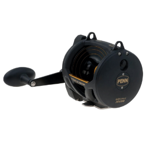 Imagen de Penn Squall 30 VSW 2 Speed