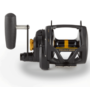 Imagen de Penn Squall 30 VSW 2 Speed