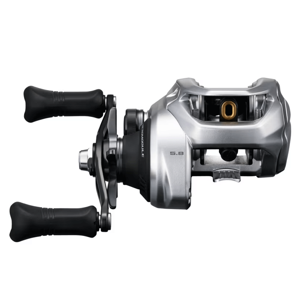 Bild von Shimano Tranx 301 B casting
