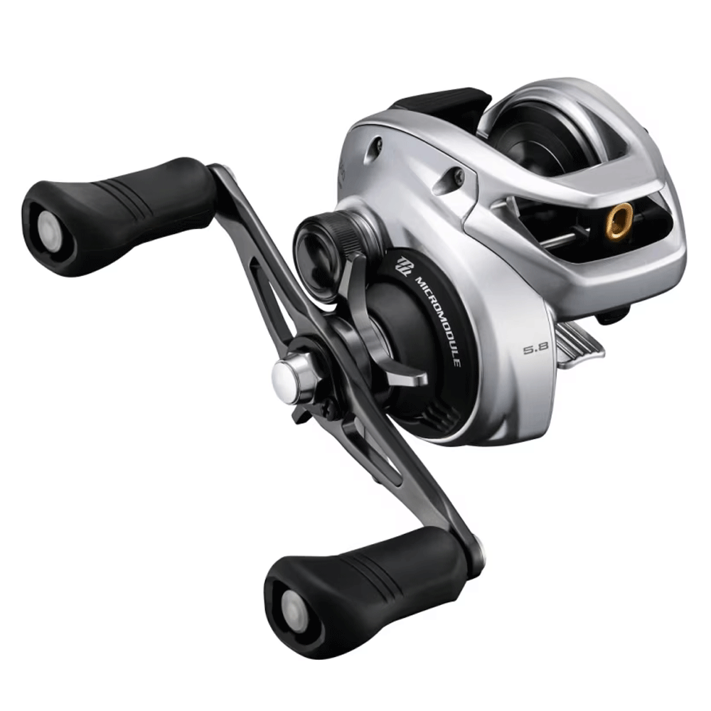 Bild von Shimano Tranx 301 B casting