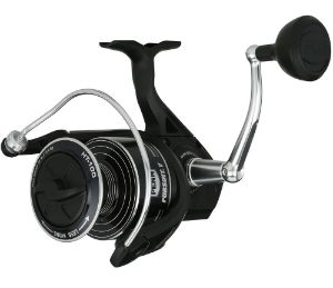 Immagine di Penn Pursuit V Spinning