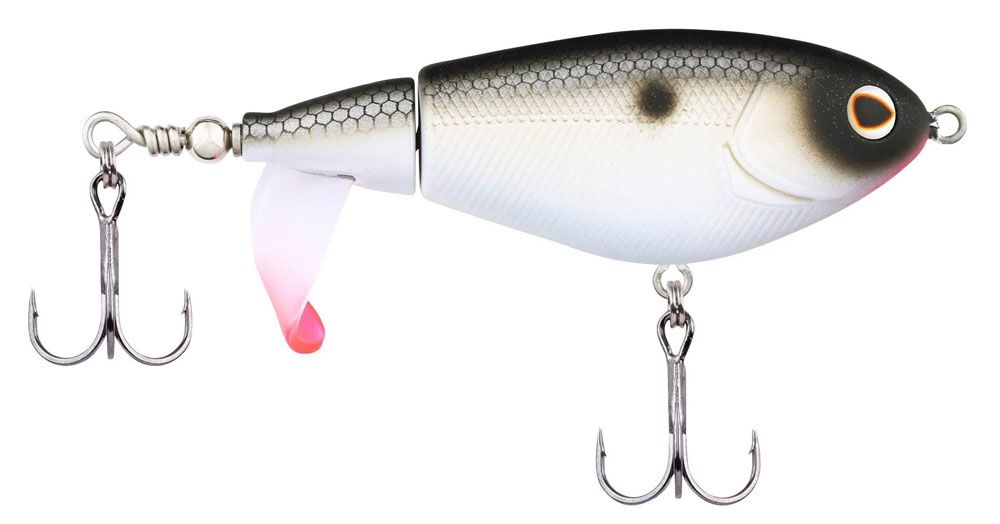 Immagine di Berkley Choppo