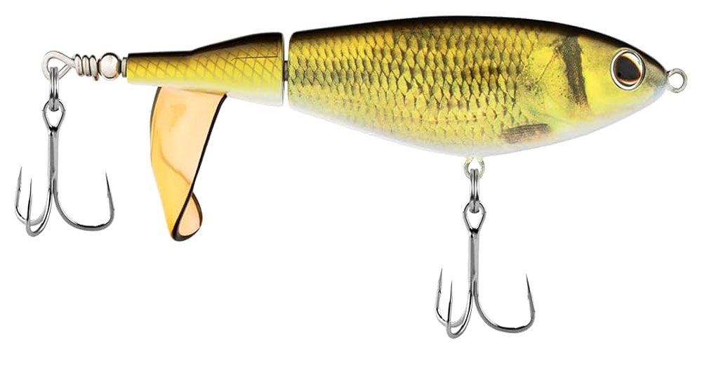 Immagine di Berkley Choppo