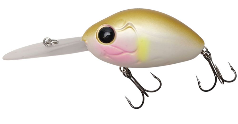 Bild von Damiki DC-200 F