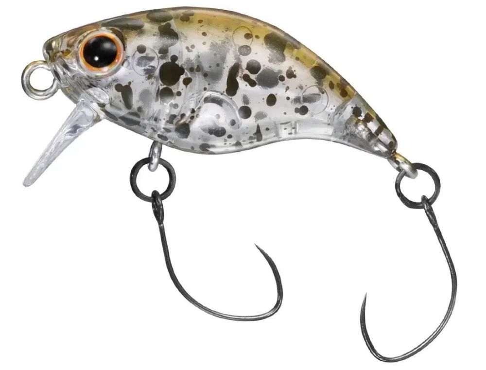 Bild von Daiwa Presso Rattlin' Wake Bug